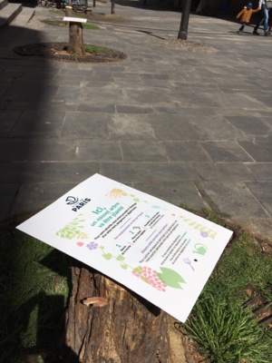 Sauvez le dernier arbre du Quartier de l’Horloge ! Sauvez le dernier arbre du Quartier de l’Horloge !