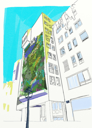 Projet de mur végétal afin de lutter contre le réchauffement climatique. Un click sur l'image l'agrandi. (Image association TEMPO/ana). Projet de mur végétal afin de lutter contre le réchauffement climatique. Un click sur l'image l'agrandi. (Image association TEMPO/ana).