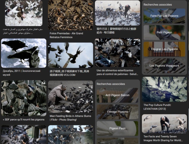 Pendant plus de 10 ans M. Belvedere a été photographié par des milliers de touristes. Pendant plus de 10 ans M. Belvedere a été photographié par des milliers de touristes.