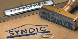 LE SYNDIC LOISELET ET DAIGREMONT SERA-T-IL ASSIGNE POUR SA GESTION DU QUARTIER DE L’HORLOGE ? LE SYNDIC LOISELET ET DAIGREMONT SERA-T-IL ASSIGNE POUR SA GESTION DU QUARTIER DE L’HORLOGE ?